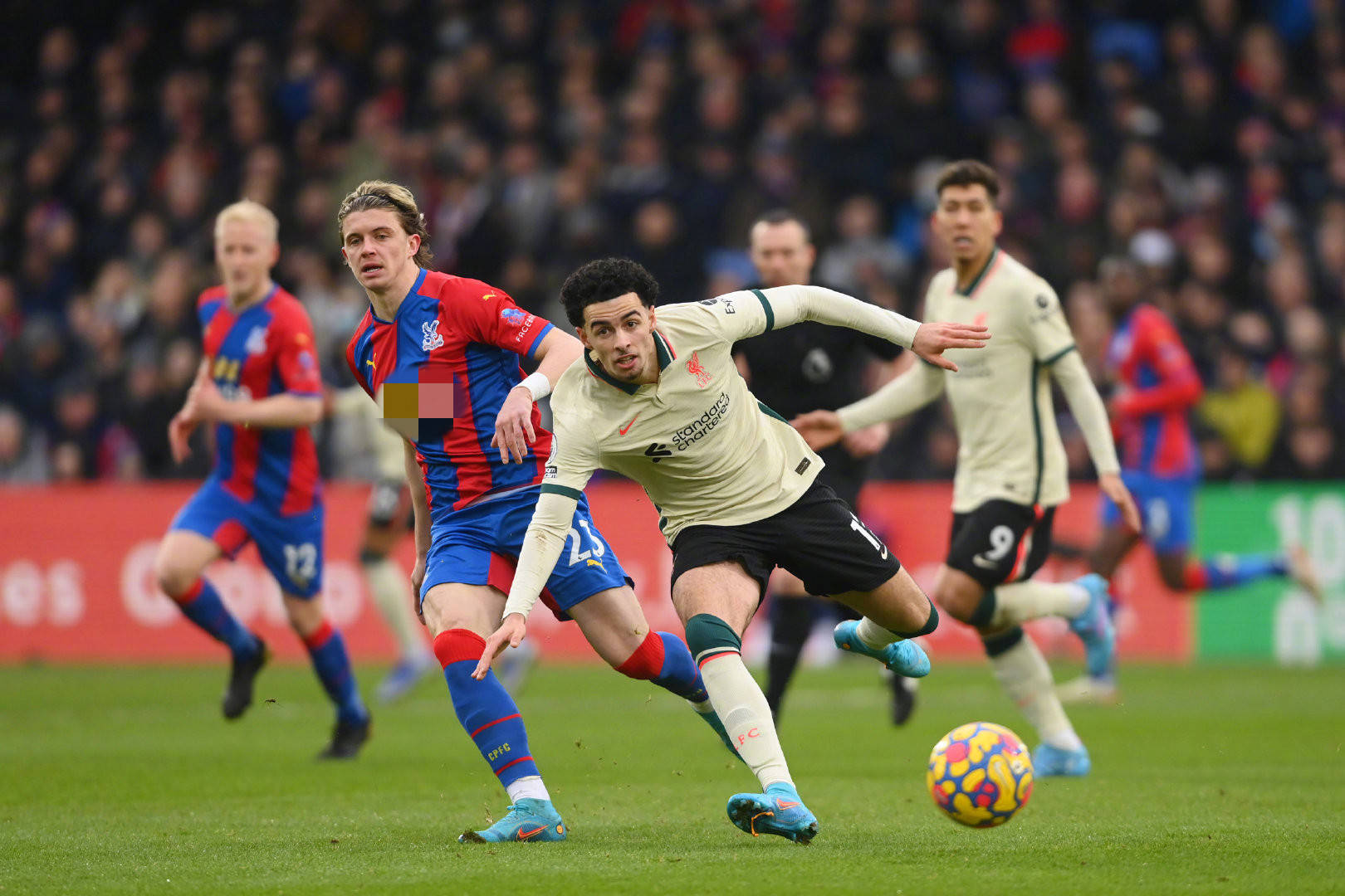 让球迷们欢 让球迷们欢